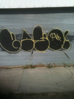 kane06.jpg