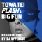 TOWA TEI FLASH & BIG FUN MEGAMIX<BR> #01 BY DJ UPPERCUT